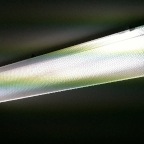IMG_0117