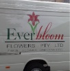 everbloom 1